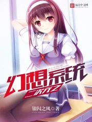 《二次元之幻想系统》小说封面