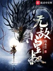《无敌小皇叔》小说封面