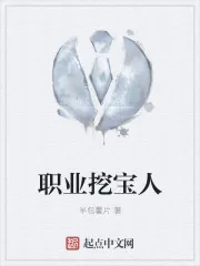 《职业挖宝人》小说封面