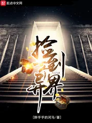 《捡到一个异界》小说封面