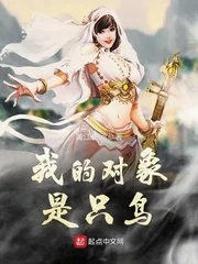《我的对象是只鸟》小说封面