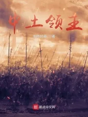 《魔戒：中土领主》小说封面