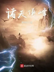 《诸天顶峰》小说封面