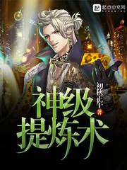 《神级提炼术》小说封面