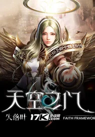《天空之门》小说封面