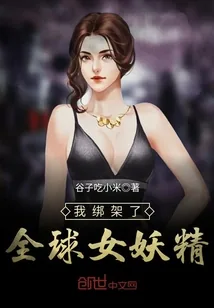 《我绑架了全球女妖精》小说封面