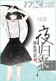 《夜归来》小说封面