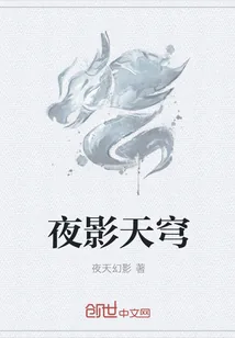 《夜影天穹》小说封面