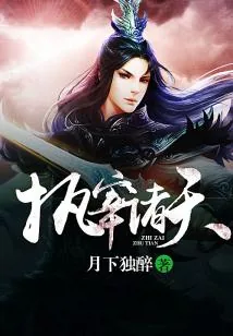 《执宰诸天》小说封面
