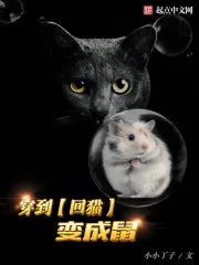 《穿到回猫变成鼠》小说封面