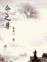 《命之尊》小说封面