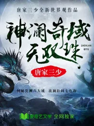 《神澜奇域无双珠》小说封面
