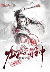 《九龙至尊神》小说封面