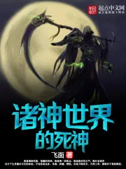 《诸神世界的死神》小说封面
