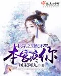 《快穿之男配不哭本宫疼你》小说封面