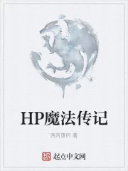 《HP魔法传记》小说封面