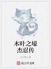 《木叶之壕杰忍传》小说封面