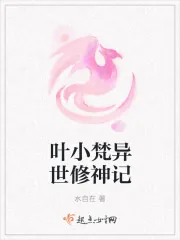 《叶小梵异世修神记》小说封面