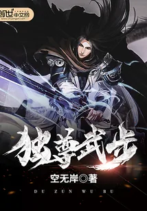 《独尊武步》小说封面