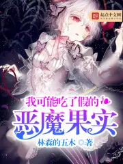 《我可能吃了假的恶魔果实》小说封面