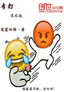 《专打惹不起》小说封面