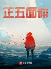 《正五面体》小说封面