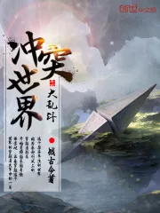 《冲突世界大乱斗》小说封面