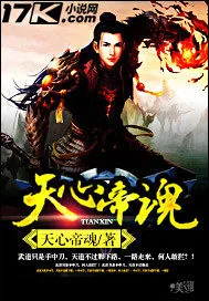 《天心帝魂》小说封面