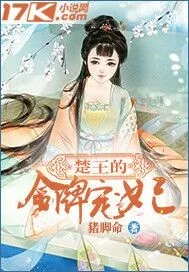 《楚王的金牌宠妃》小说封面