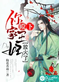 《殿下，你家王妃放火了》小说封面