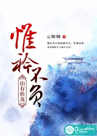 《山有扶苏，惟衿不负》小说封面