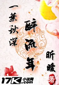《一叶秋深醉流年》小说封面