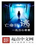 《无限猎杀游戏》小说封面