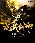 《龙武剑神》小说封面