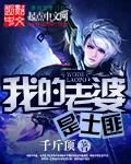 《我的老婆是土匪》小说封面