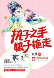 《执子之手，娘子拖走》小说封面