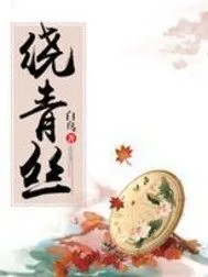 《绕青丝》小说封面