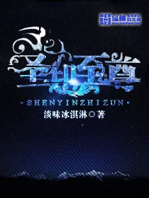 《圣印至尊》小说封面