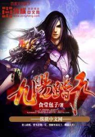 《九阳踏天》小说封面