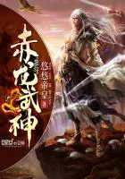 《赤龙武神》小说封面