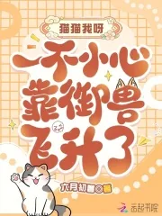 《猫猫我呀，一不小心靠御兽飞升了》小说封面