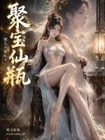 《聚宝仙瓶》小说封面