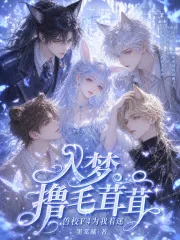 《入梦撸毛茸茸，兽校F4为我着迷》小说封面