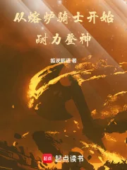 《从熔炉骑士开始耐力登神》小说封面