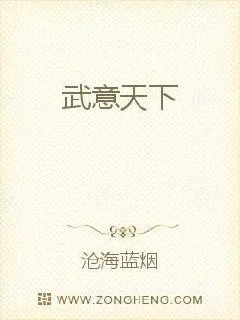 《武意天下》小说封面