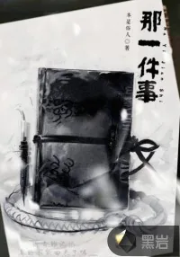 《那一件事》小说封面