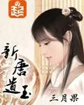 《新唐遗玉》小说封面