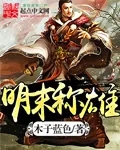 《明末称雄》小说封面