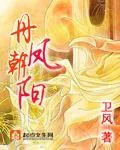 《丹凤朝阳》小说封面