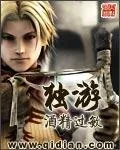 《独游》小说封面
